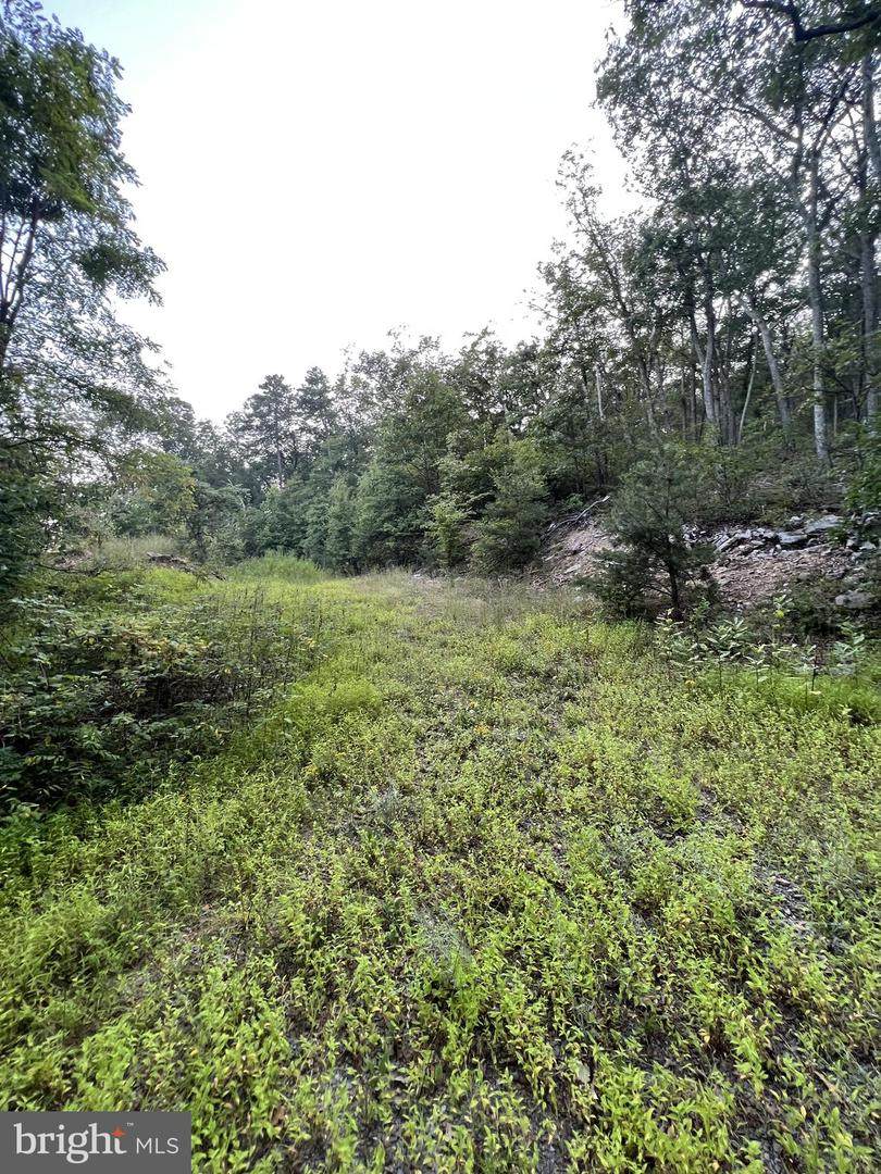 1137 Tomahawk Trail - Photo 1