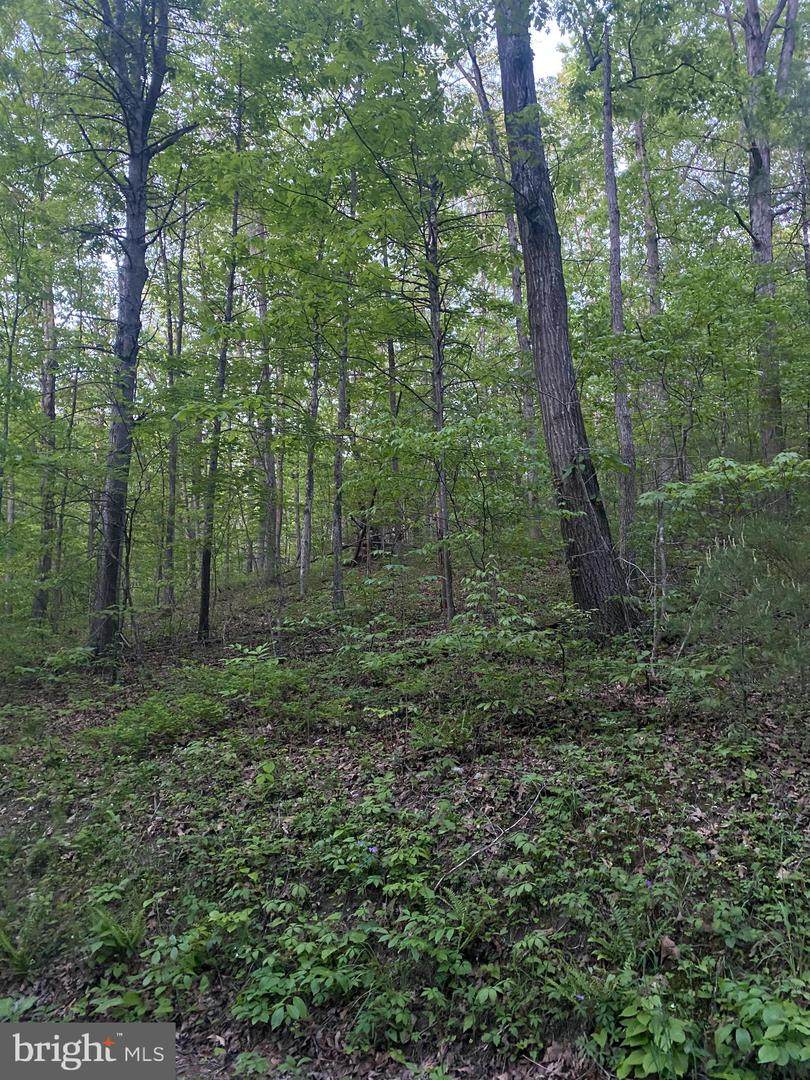 TBD Crooked Run Road - Photo 1