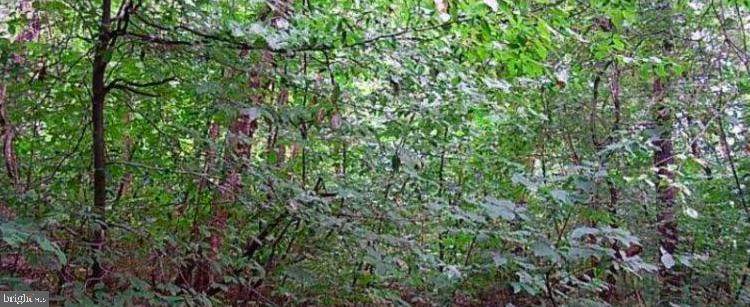 Furnace Mountain Rd - Photo 1