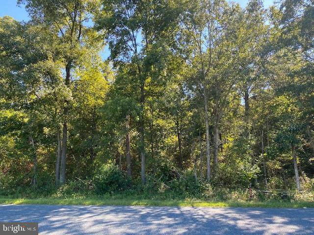 0 Taylors Trail - Photo 1