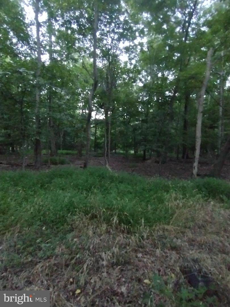 12951 Old Fort Road - Photo 1