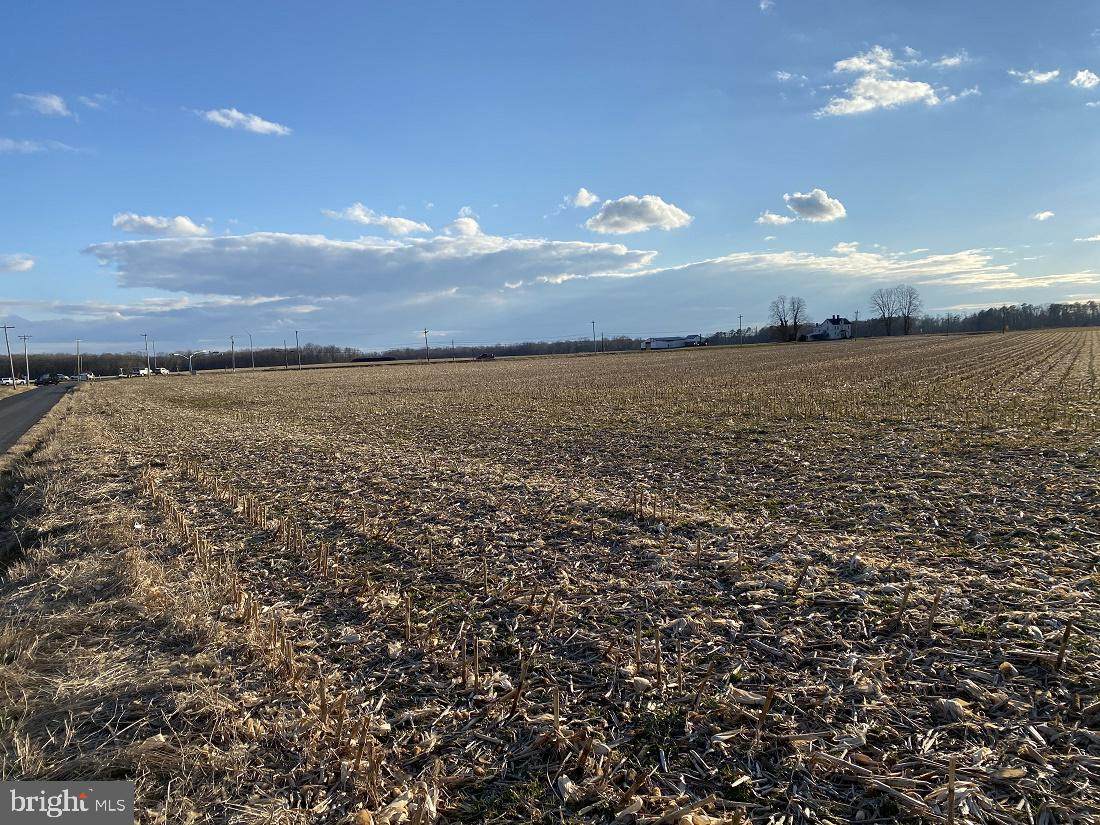 Lot 4 Black Dog Alley - Photo 1