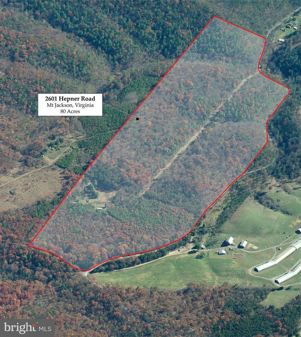2601 Hepner Road - Photo 1