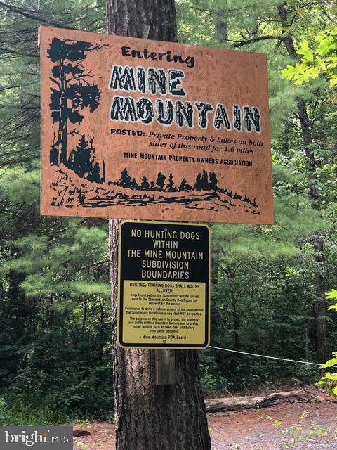 0 Mine Mountain Lane - Photo 1
