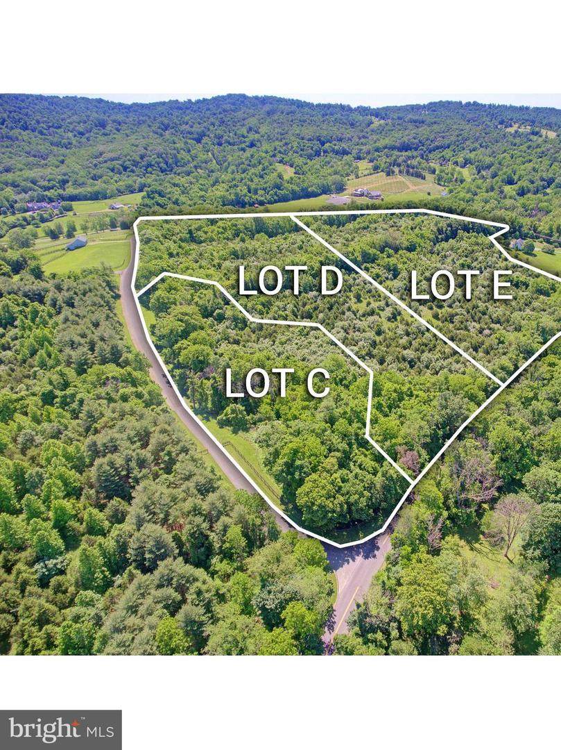 Lot E Taylorstown Road - Photo 1