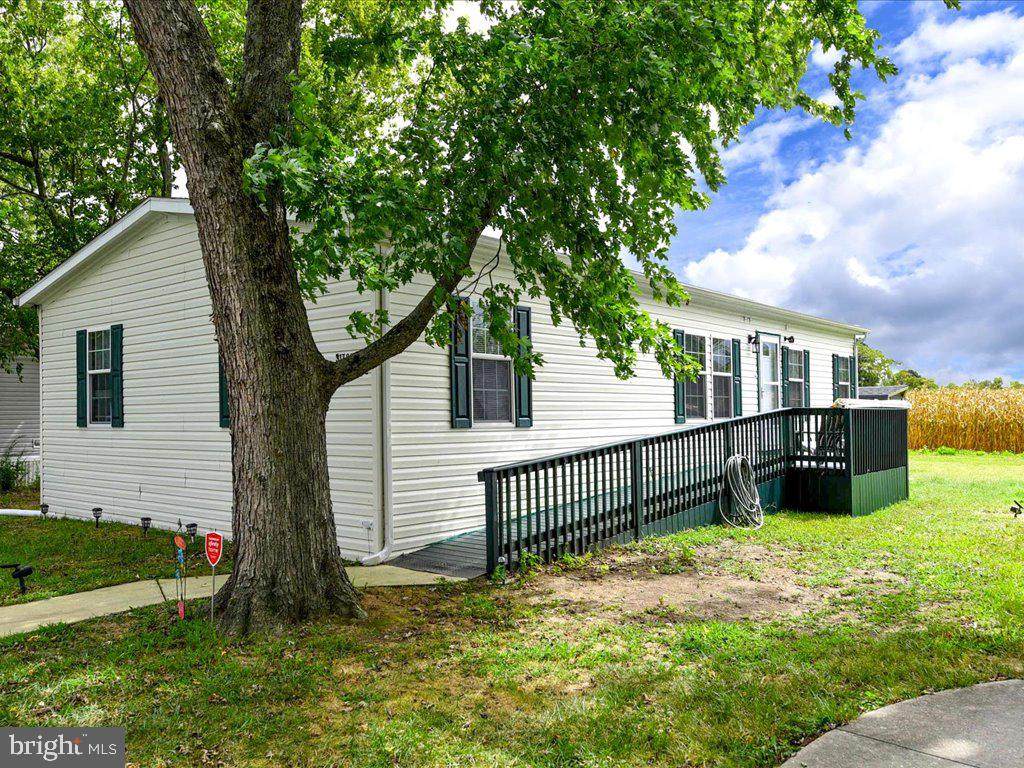 31780 Siham Road - Photo 1