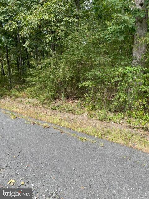 0 Sycamore Boulevard - Photo 1