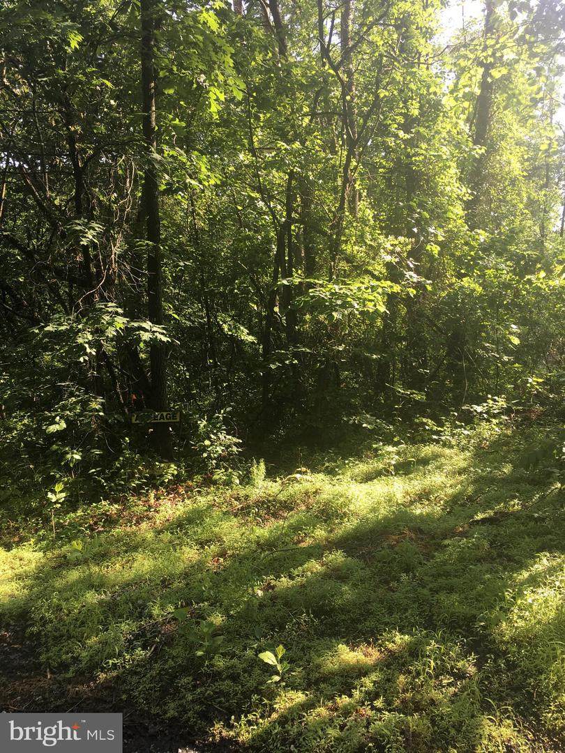 0 River Oak Drive - Photo 1
