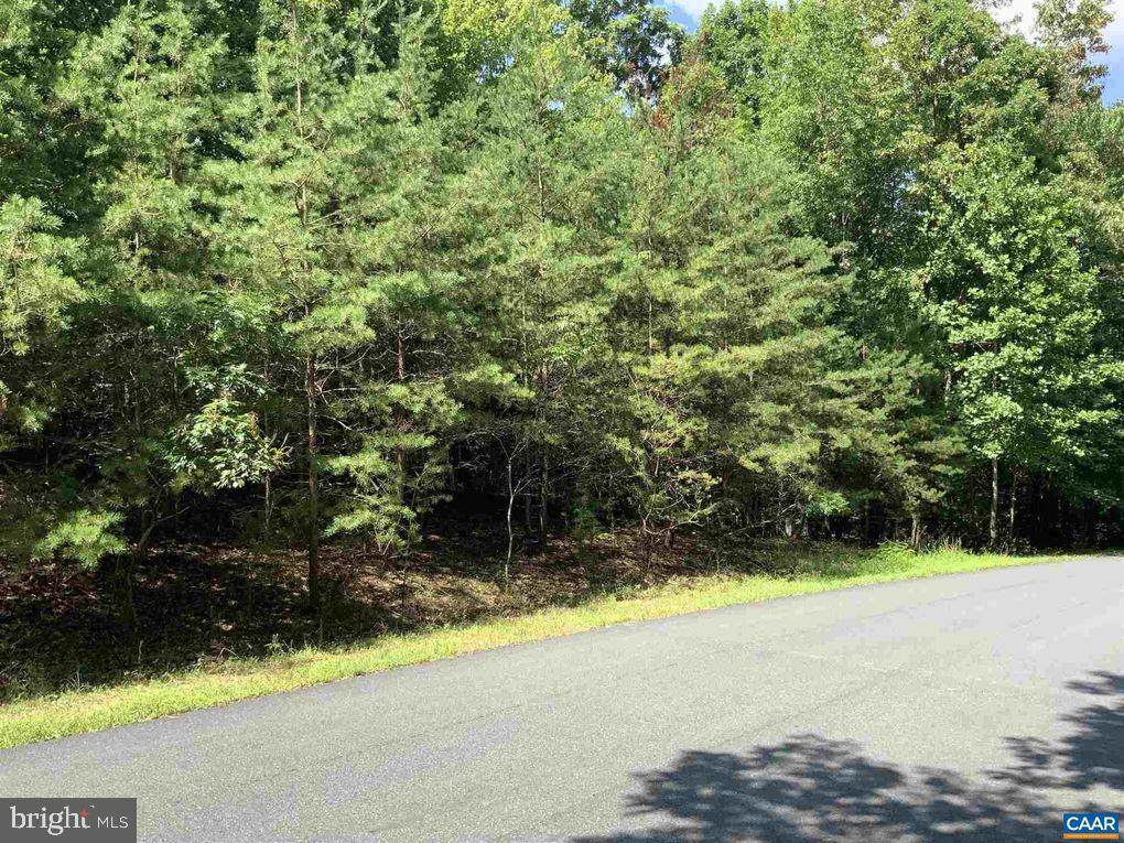 Shenandoah Crossing Drive - Photo 1