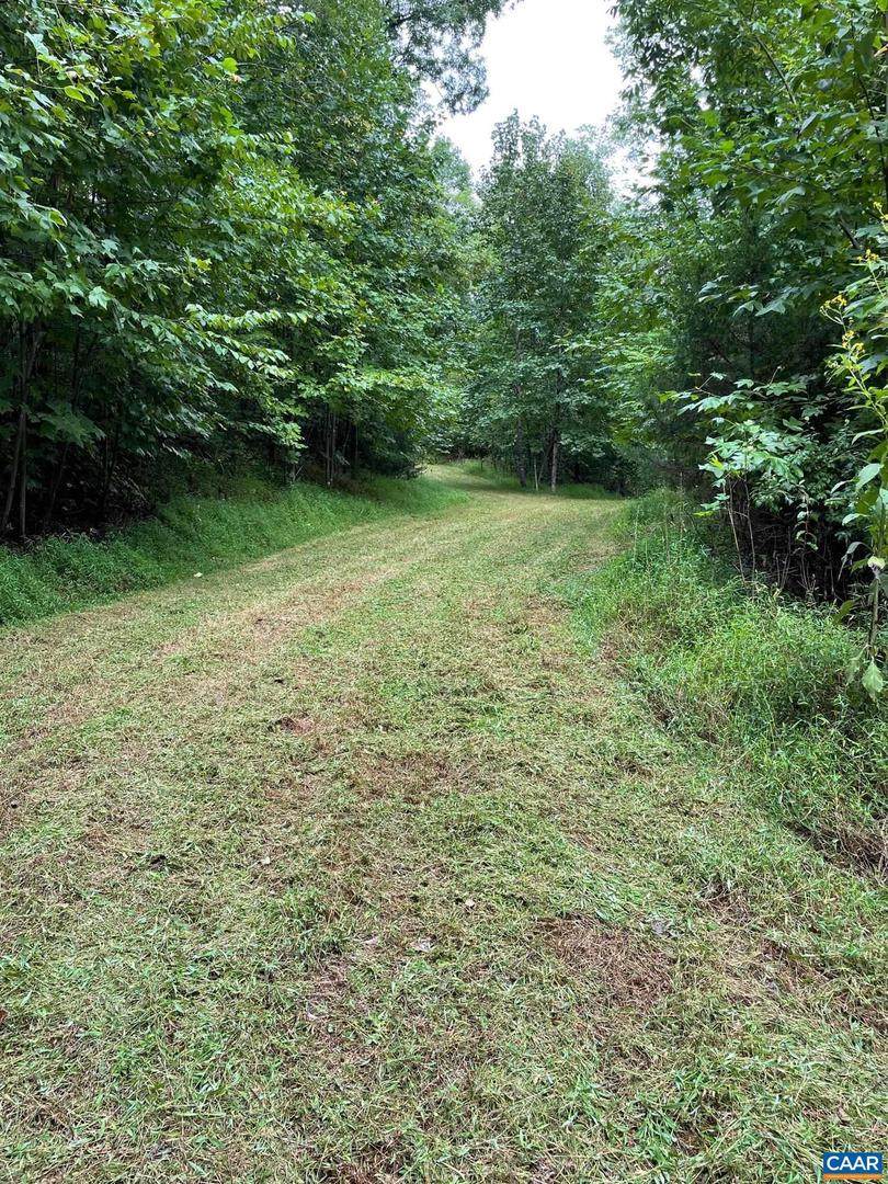 Lot 3 Pine Trl - Photo 1