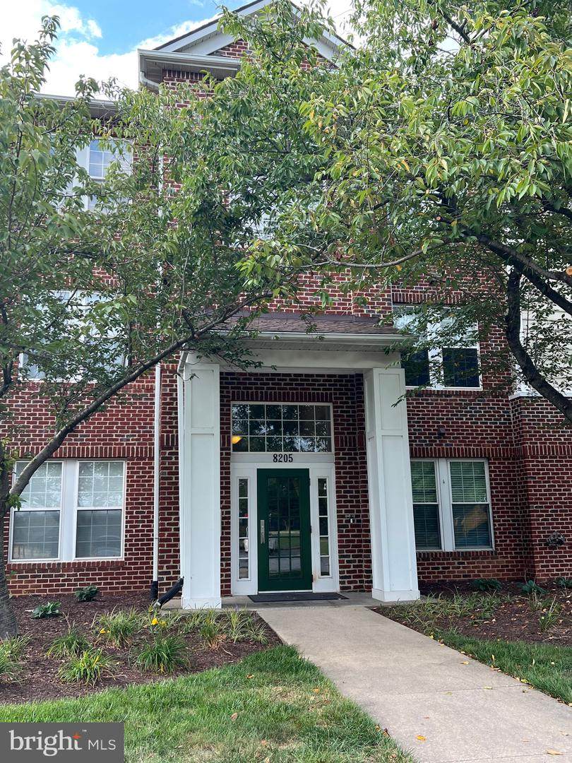 8205 Blue Heron Drive - Photo 1