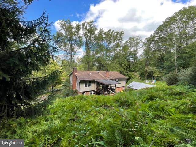 7 Middle Road - Photo 1