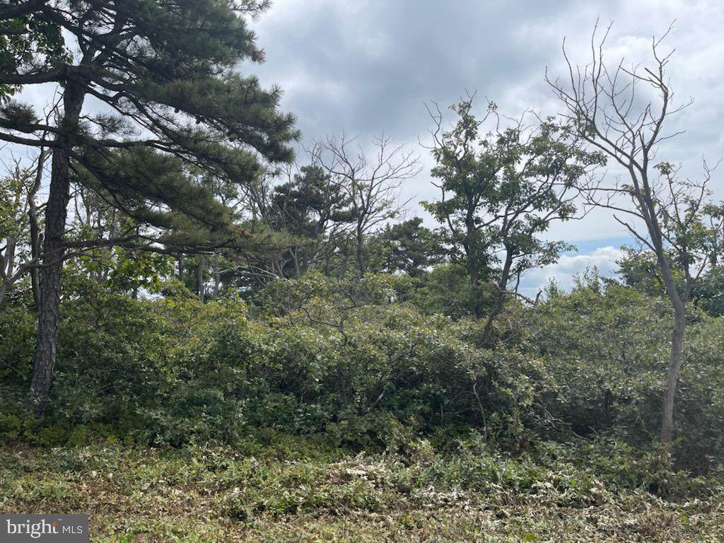 Lot 250 Archwood Trail - Photo 1