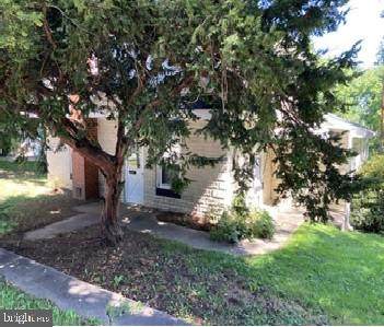 3858 Steltz Road - Photo 1