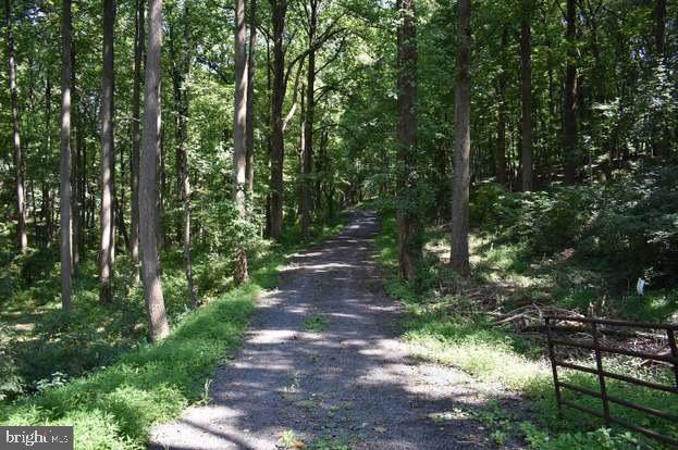 Bill Moxley Road - Photo 1