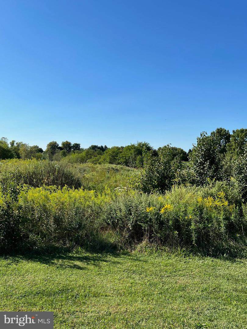 315 Borton Landing Road - Photo 1