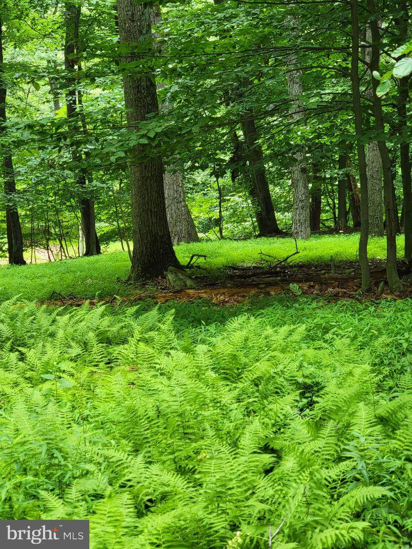 24 & 26 Cypress Trail - Photo 1