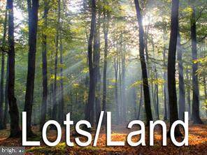 Lot 5 Solaris Pointe - Photo 1