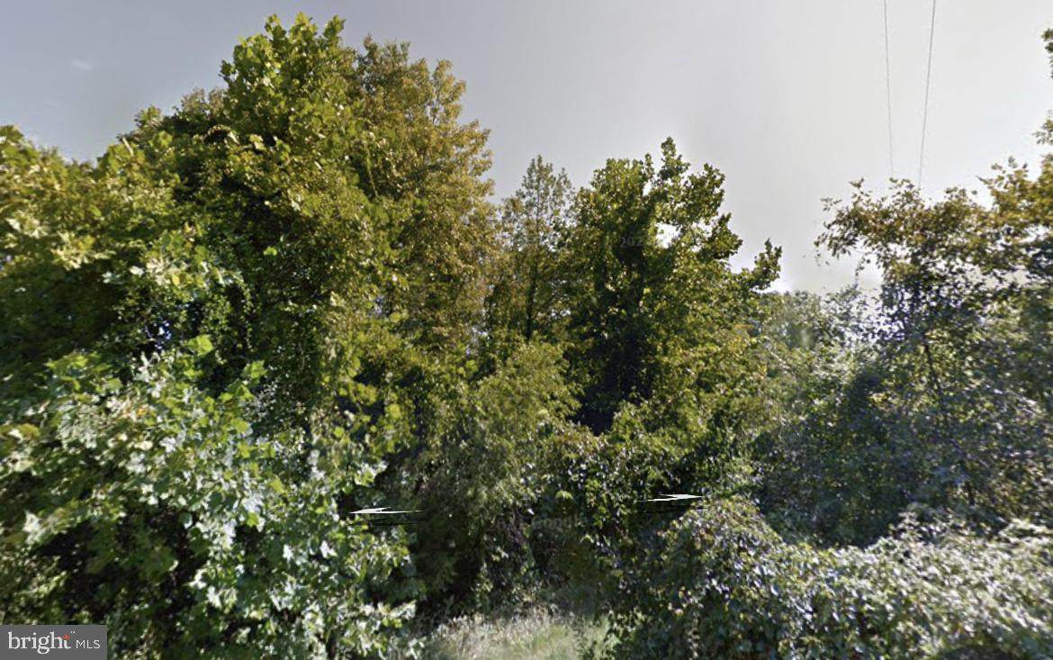 16 Pinto Trail - Photo 1