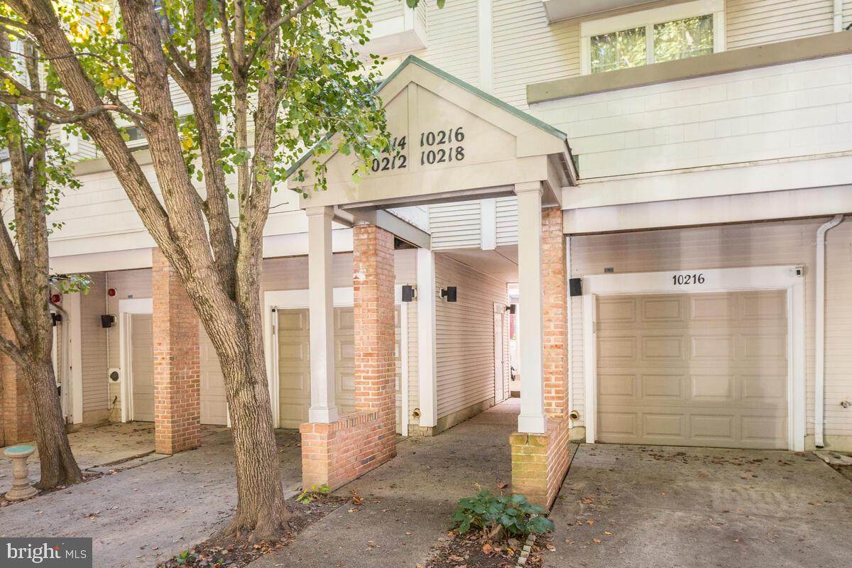 10214 Crested Iris Drive - Photo 1