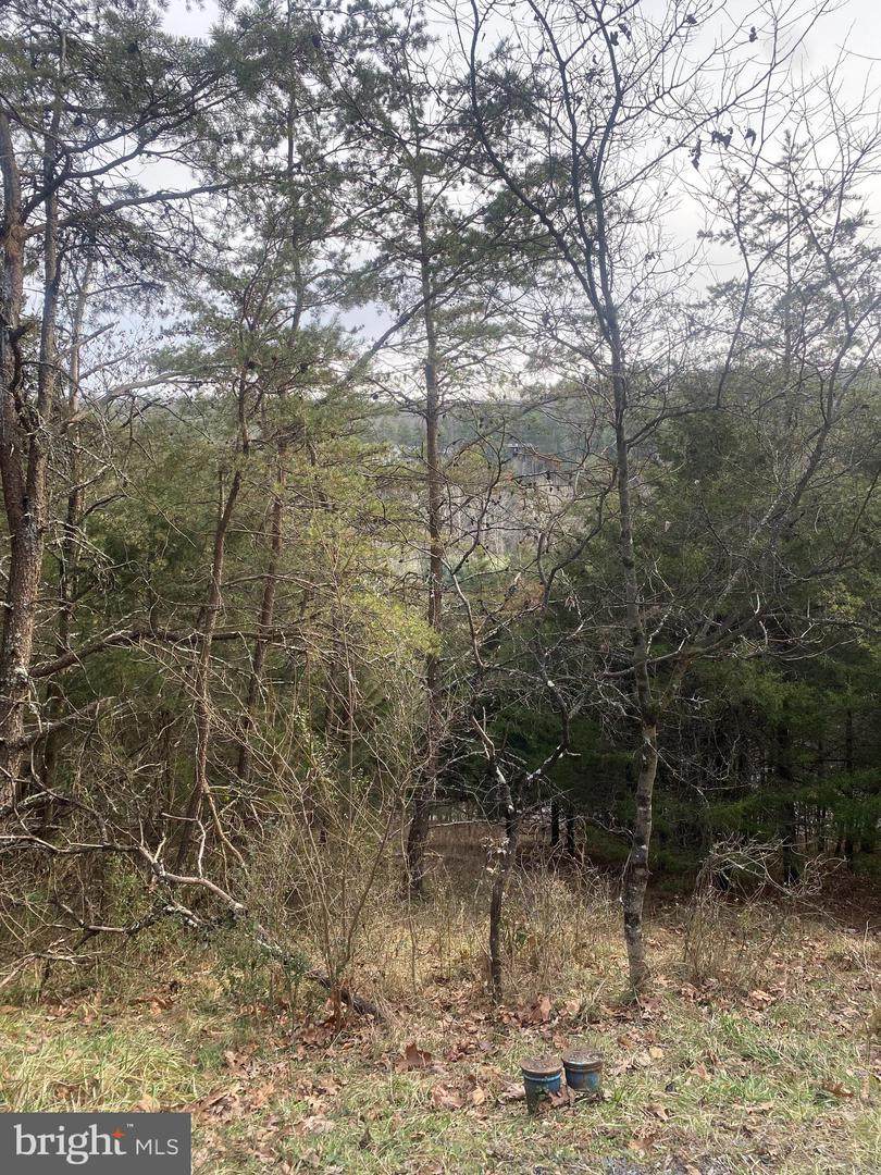 TBD Beauregard Drive - Photo 1