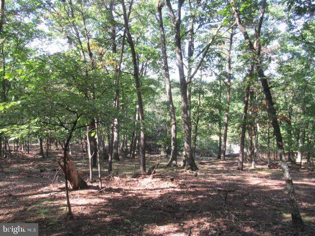 Copperhead Lane - Photo 1