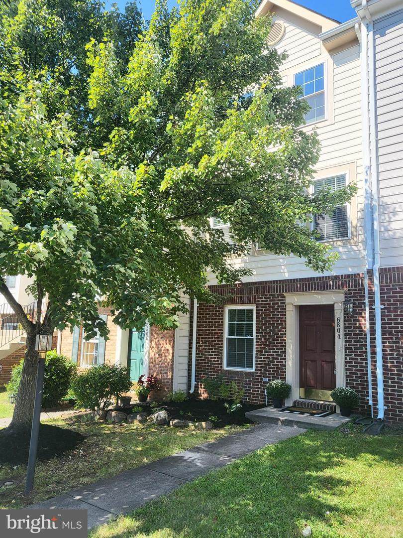 6804 Avalon Isle Way - Photo 1
