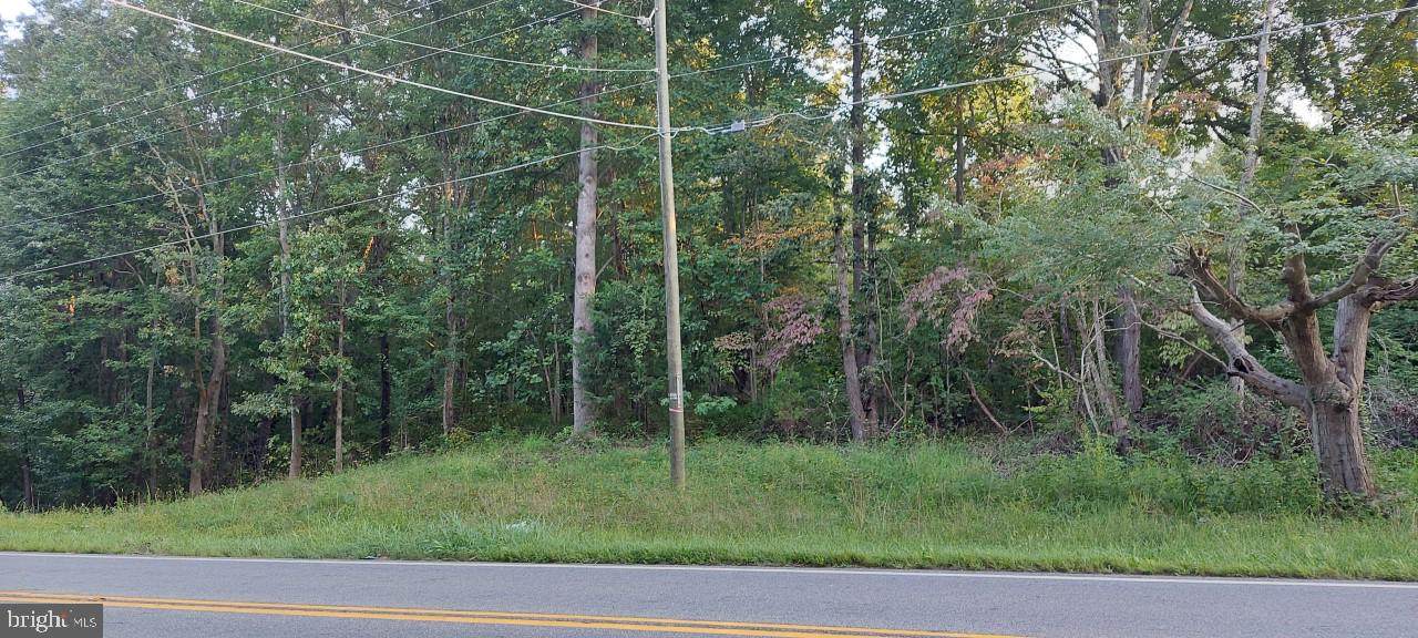Sperryville Pike - Photo 1