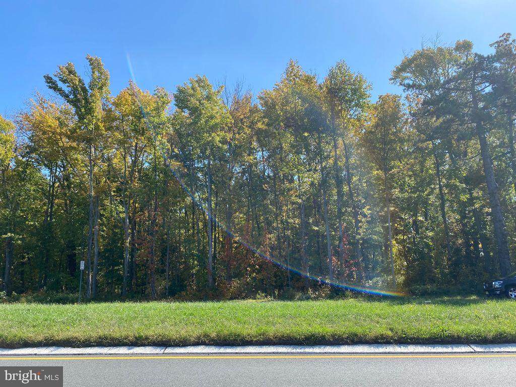 1375 Route 130 - Photo 1
