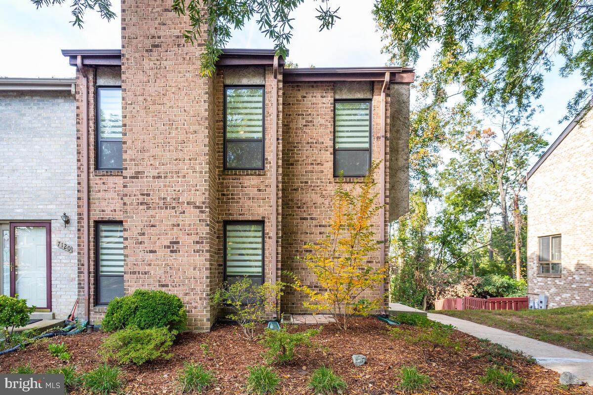 7122 Ora Glen Court - Photo 1