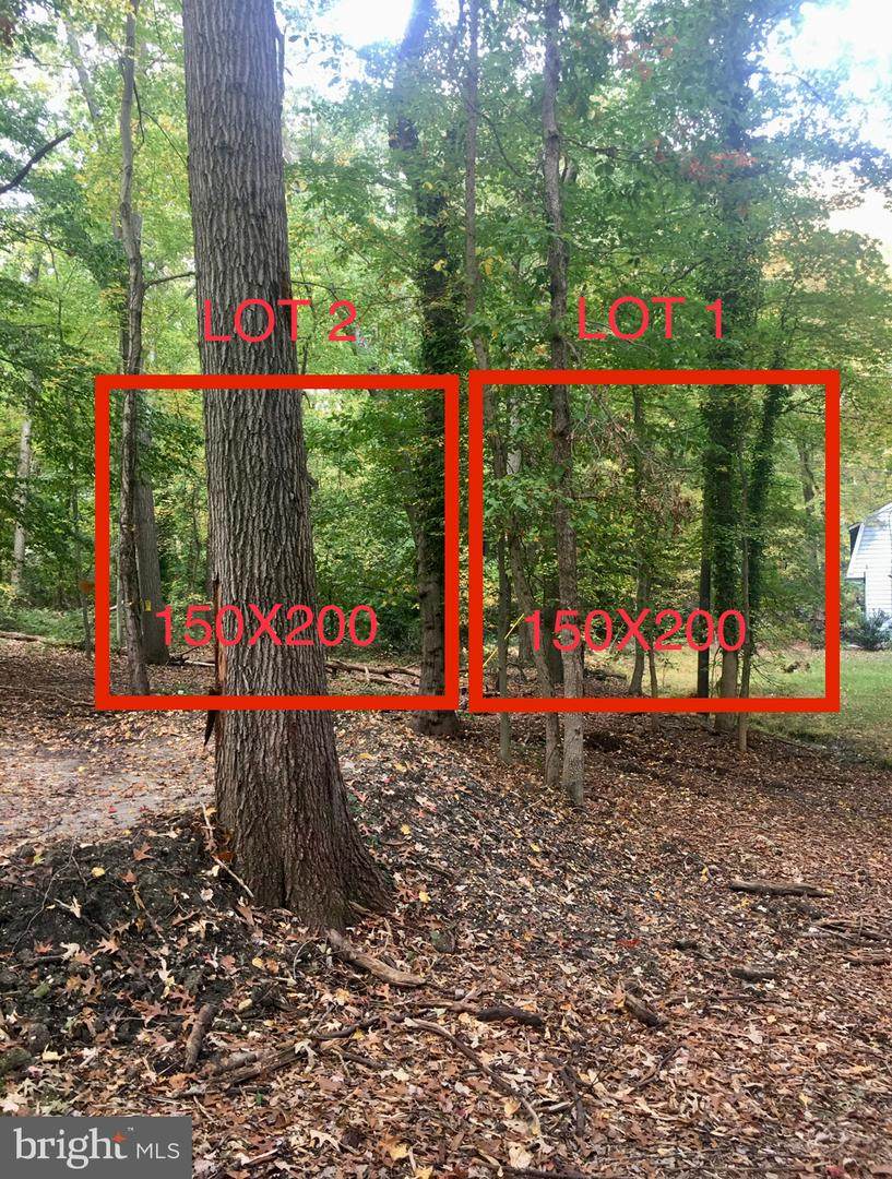 0 Hunt Avenue - Photo 1