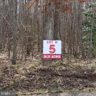 Lot 5 Old Plank Road - Photo 1