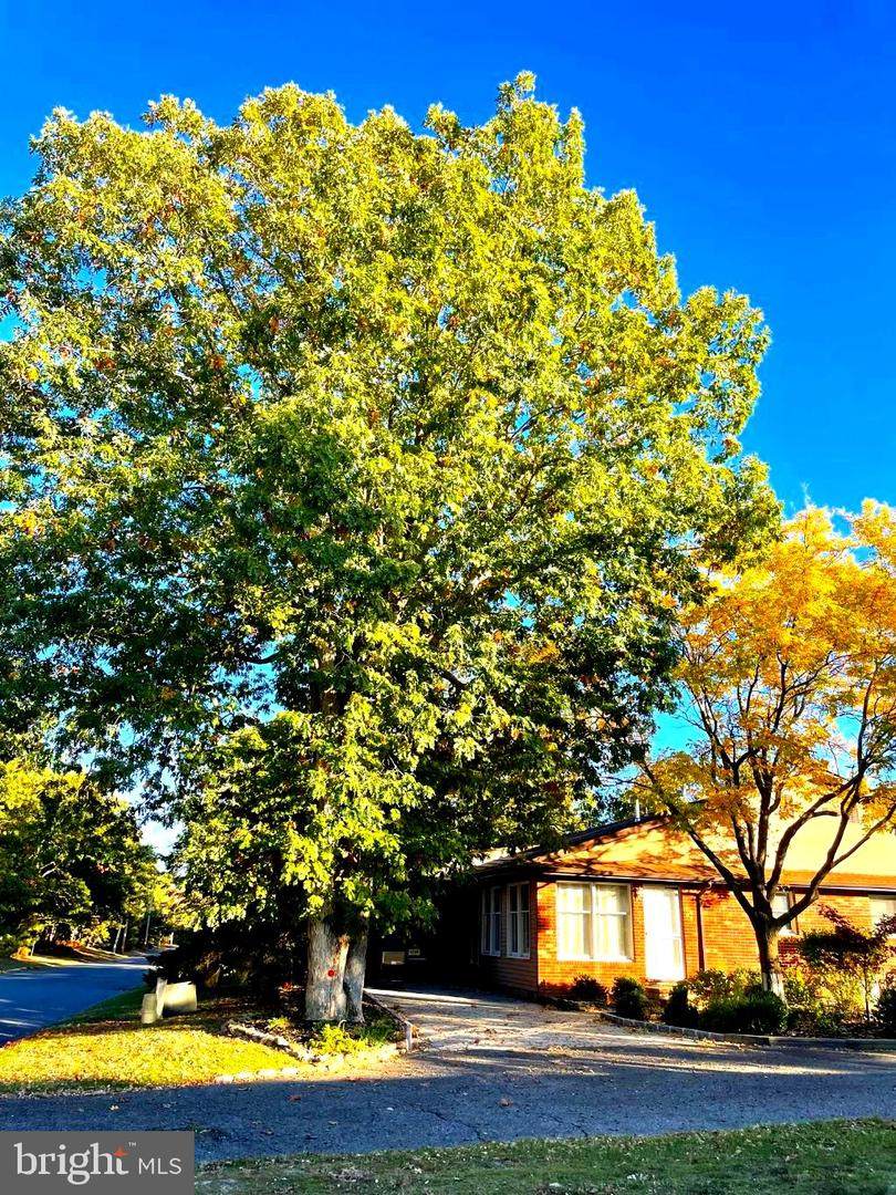 44-B Stage Road - Photo 1