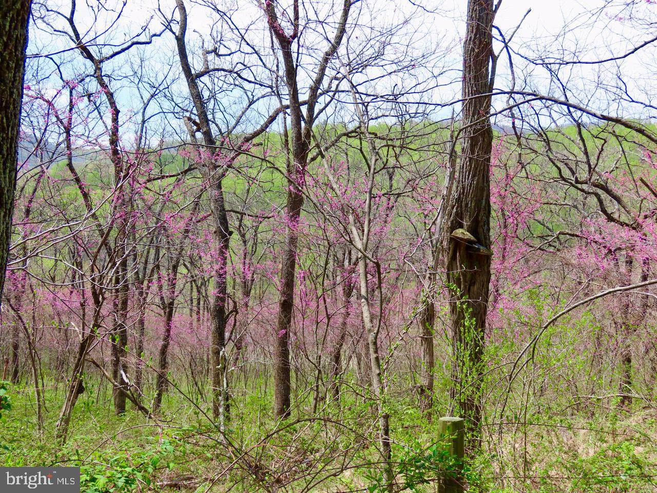 0 Gid Brown Hollow Road - Photo 1