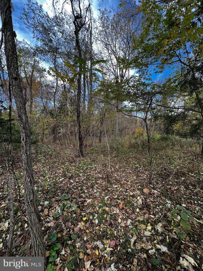 lot 124 Poplar Road - Photo 1