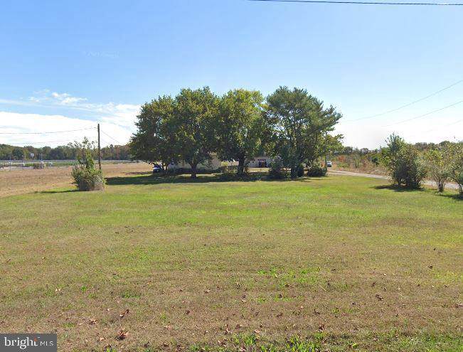 540 Pine Road - Photo 1