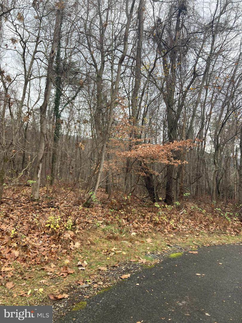 0 Chestnut Grove Rd - Photo 1