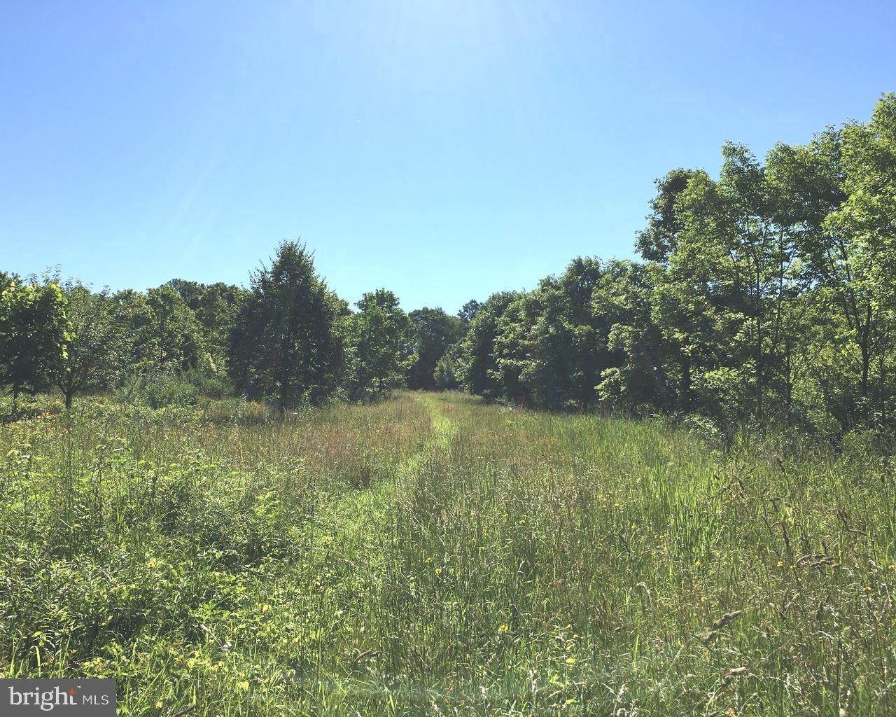 2032 Dutch Mill Road - Photo 1