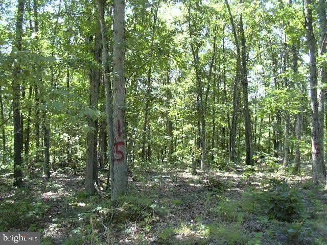 Mystic Mountain Boulevard - Photo 1