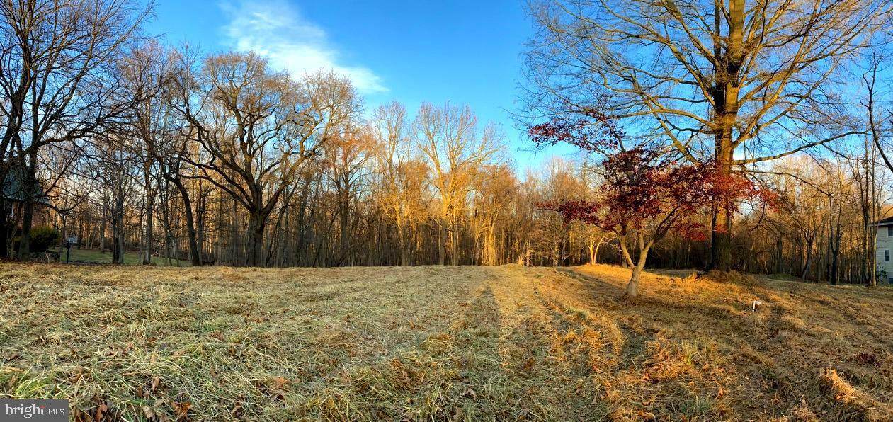 15721 Holly Grove Road - Photo 1