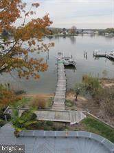 3902 Dogwood Trail - Photo 1