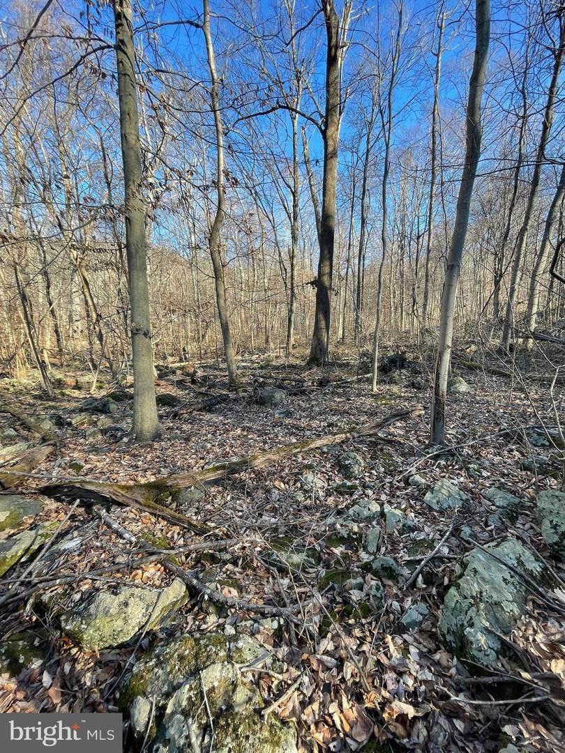 Remainder Fishers Hollow Road - Photo 1