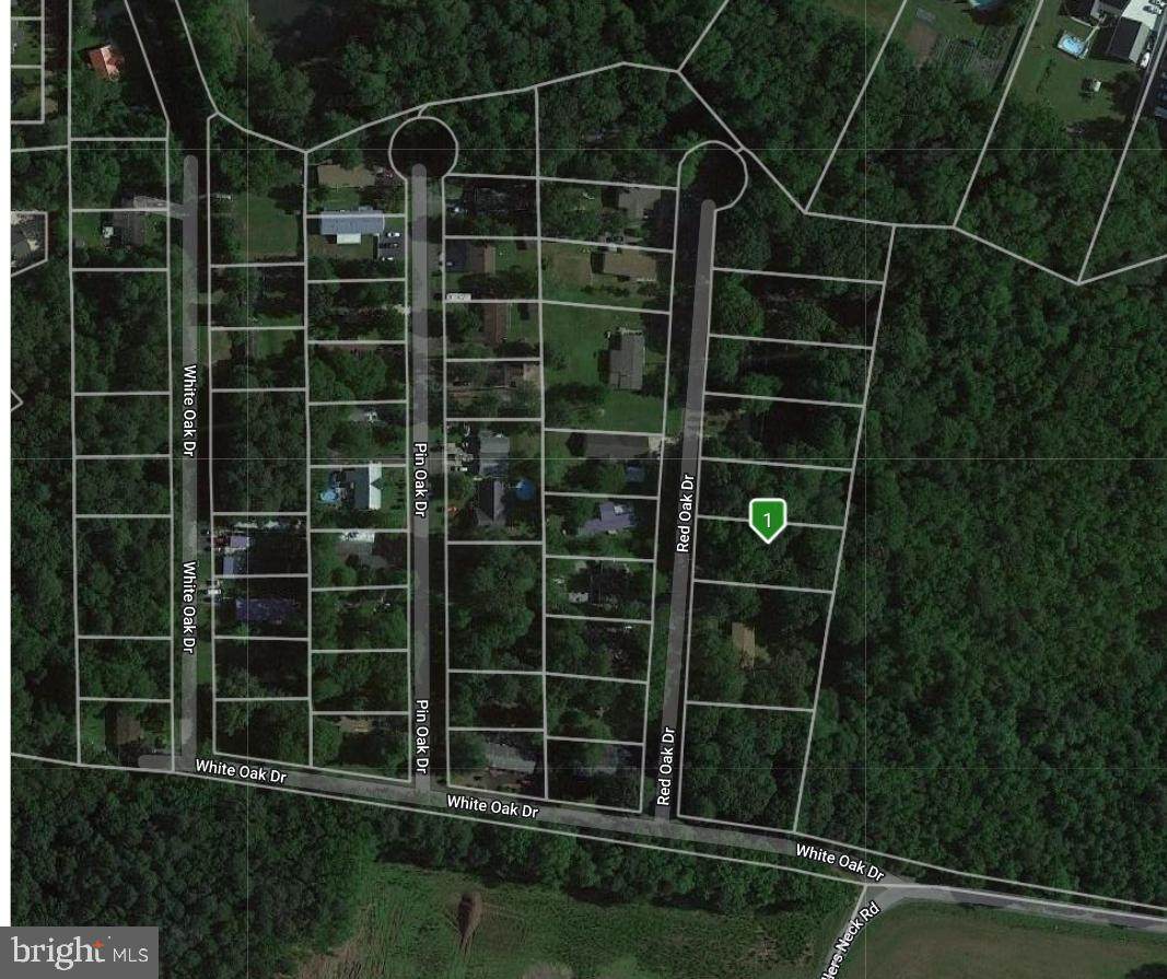 34048 Red Oak Drive - Photo 1