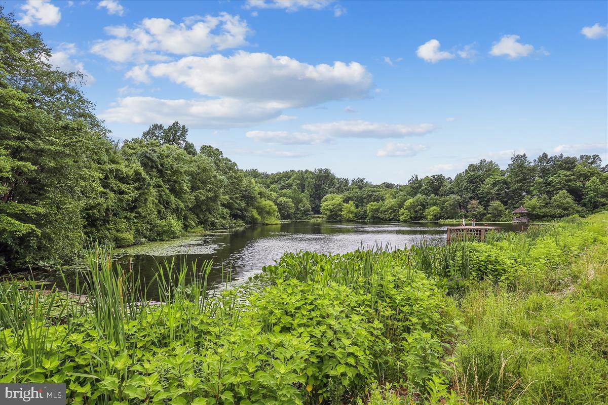 1113 Water Pointe Lane - Photo 1