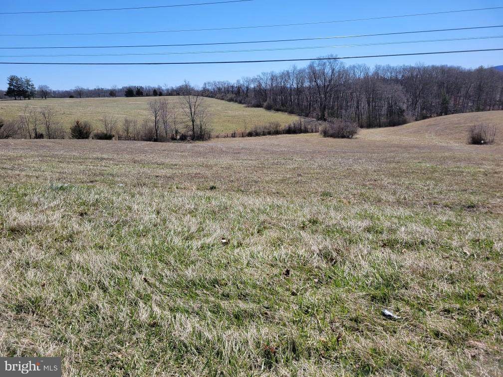 Lot 8 Red Oak Road - Photo 1