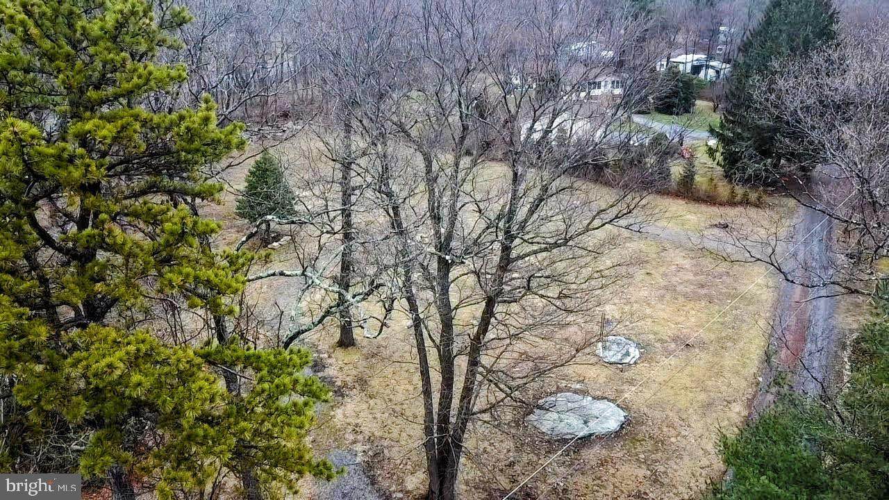 373 Birch Road - Photo 1