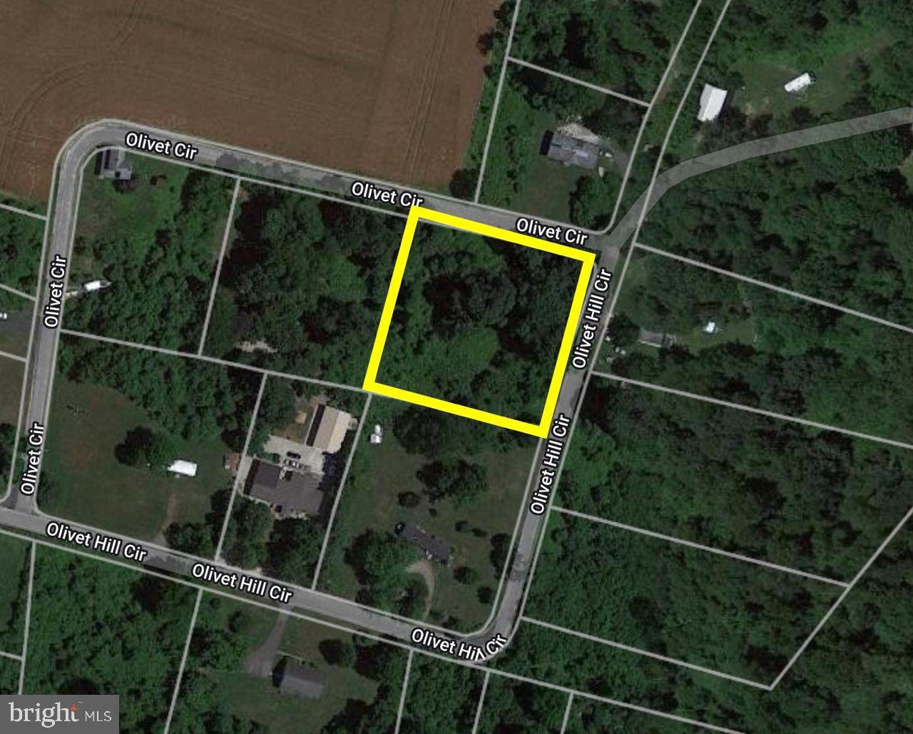 Olivet Hill Circle - Photo 1
