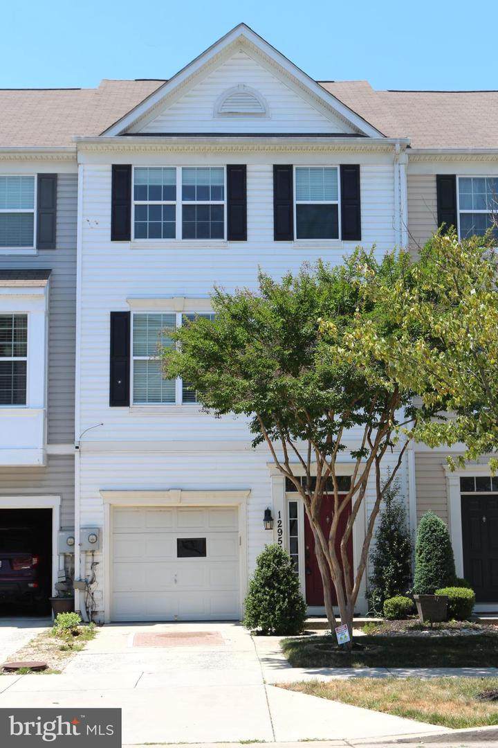 12956 Yellow Jacket Road - Photo 1