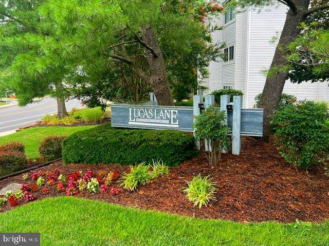2023 Lucas Lane - Photo 1