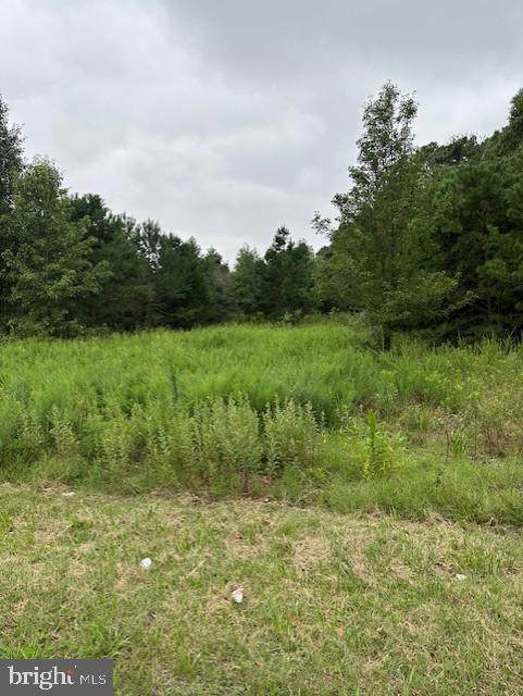 0 Tuckahoe Road - Photo 1